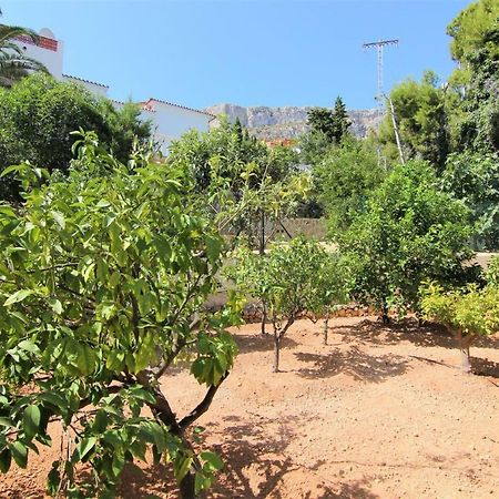 Villavenus Calpe Luaran gambar