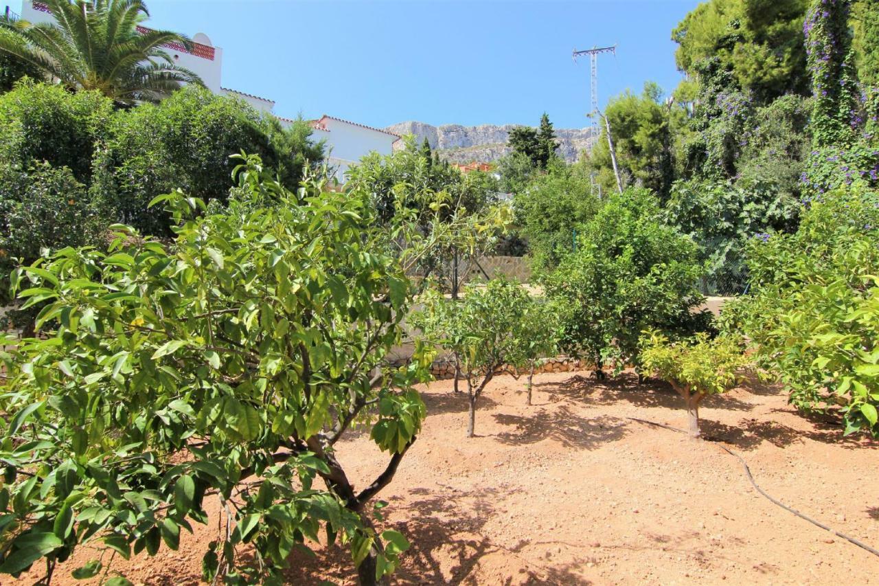 Villavenus Calpe Luaran gambar