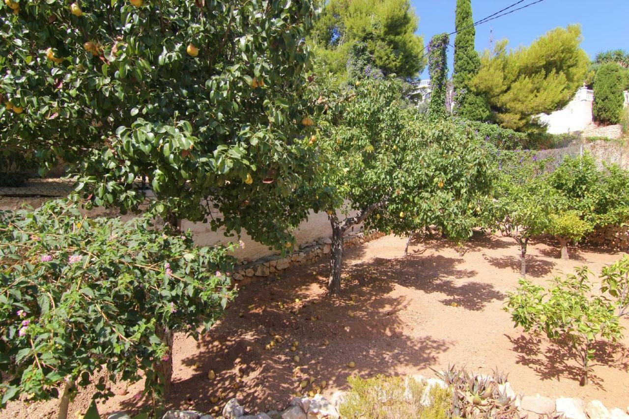 Villavenus Calpe Luaran gambar