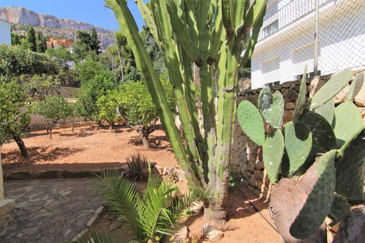 Villavenus Calpe Luaran gambar